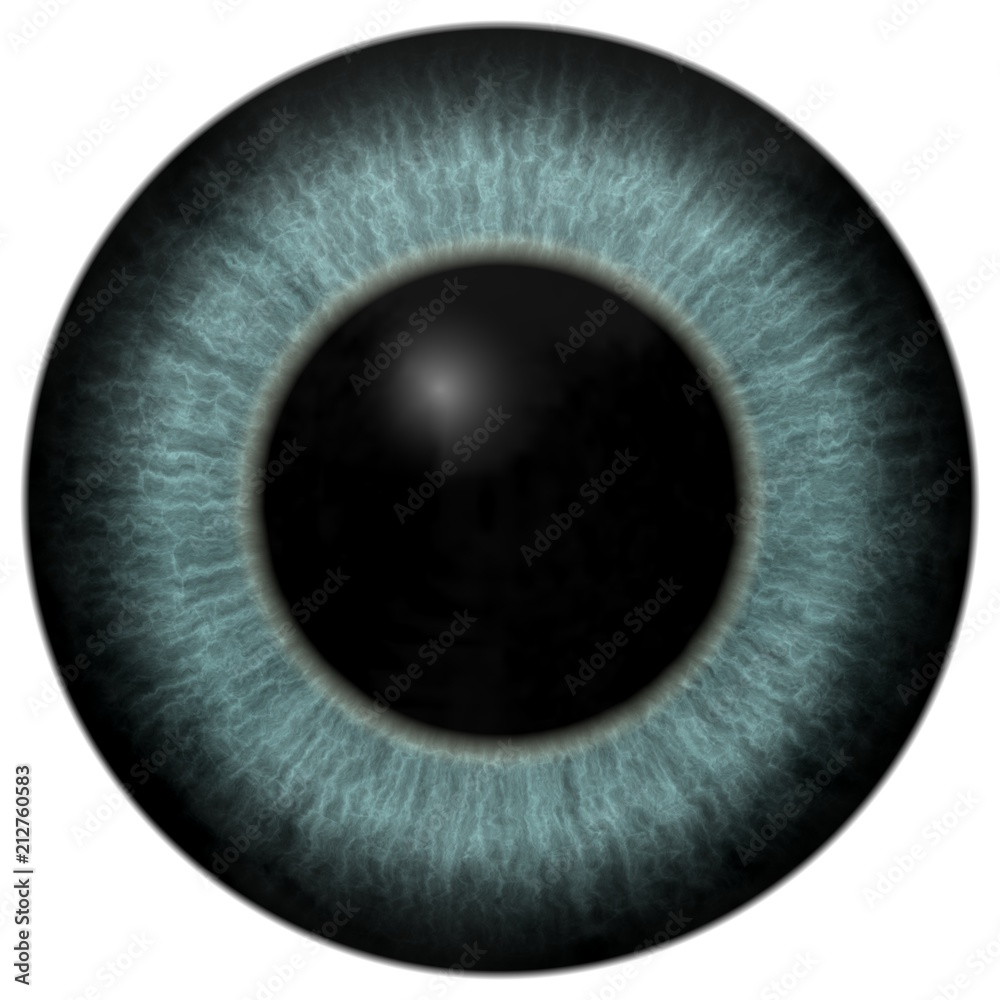 Green animal eyeball texture with white background