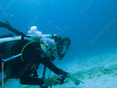 Wallpaper Mural Scuba Diver, Diving, in Labuanbajo, Flores, Indonesia Torontodigital.ca