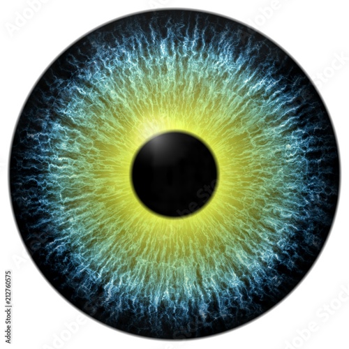 Yellow and blue 3d eyeball with white background