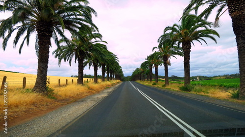 Road in Barossa Valley, South Australia