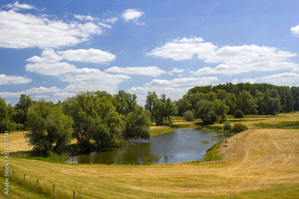 Fototapeta premium floodplains along the Rhine, Netherlands, Gelderland