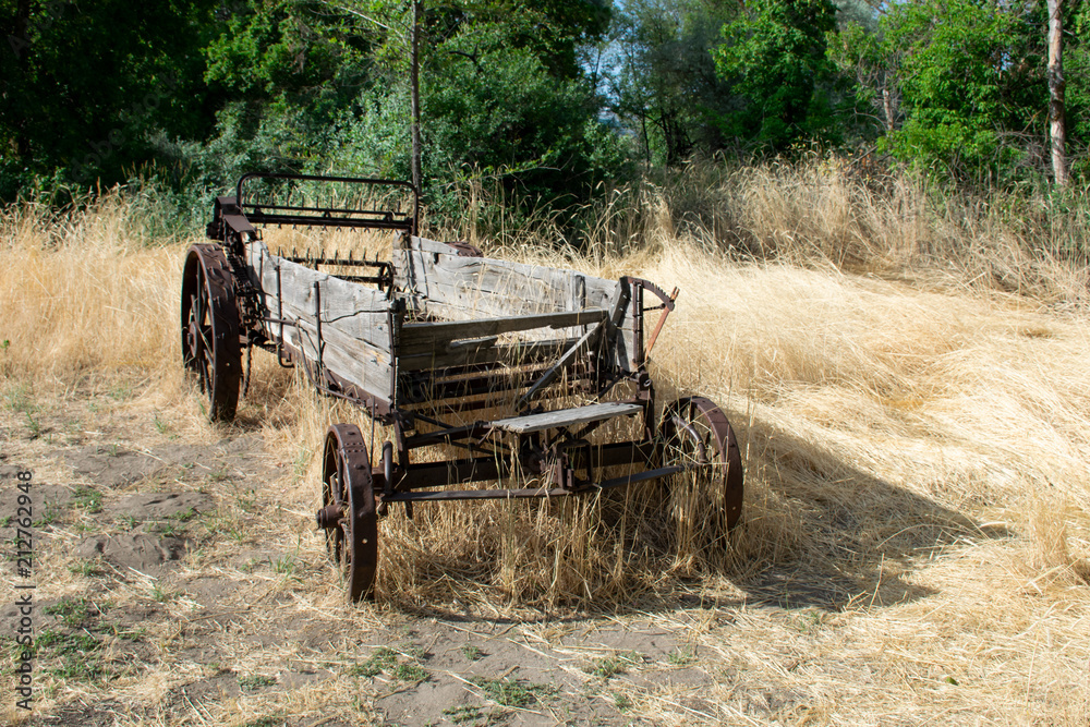 Obraz premium Old Wagon in the Field
