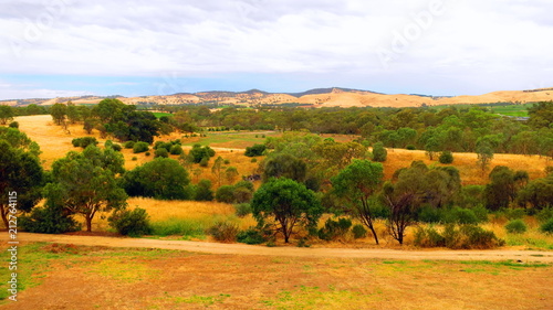 Landscape in Barossa Valley, South Australia