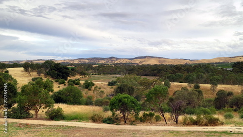 Landscape in Barossa Valley, South Australia © Mariangela