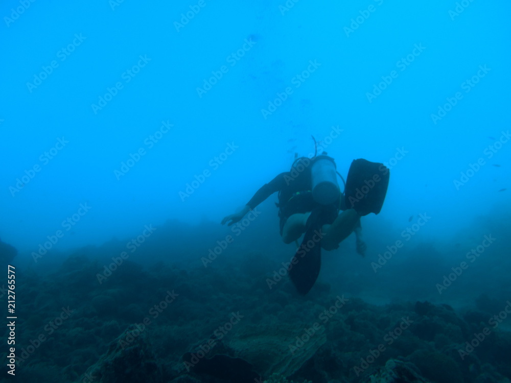 Fototapeta premium Diving the Great Barrier Reef, Australia