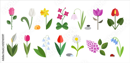 Flower flat icon set isolated on white. Cute design in bright colors. Various Flowers including rose, tulip, orchid, Espatifilo, bells flowers, Bellis perennis, bulb flowers. photo