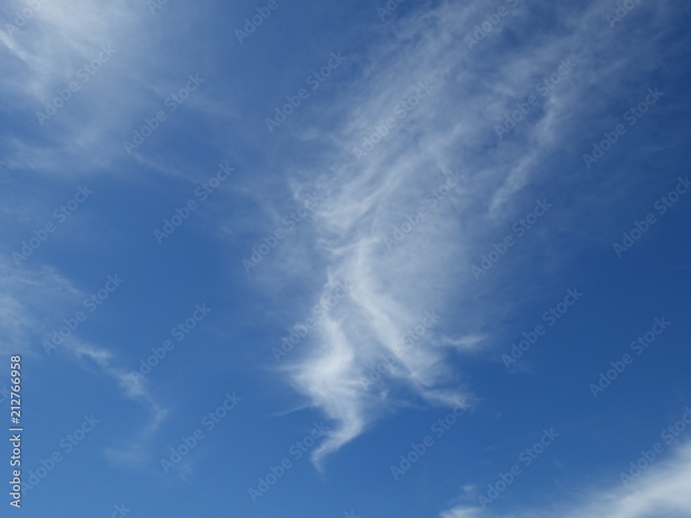 Fototapeta premium 夏の青空