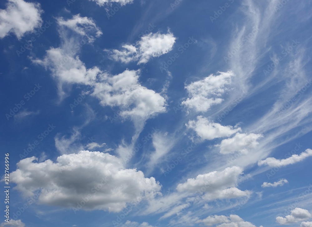 Fototapeta premium 夏の青空