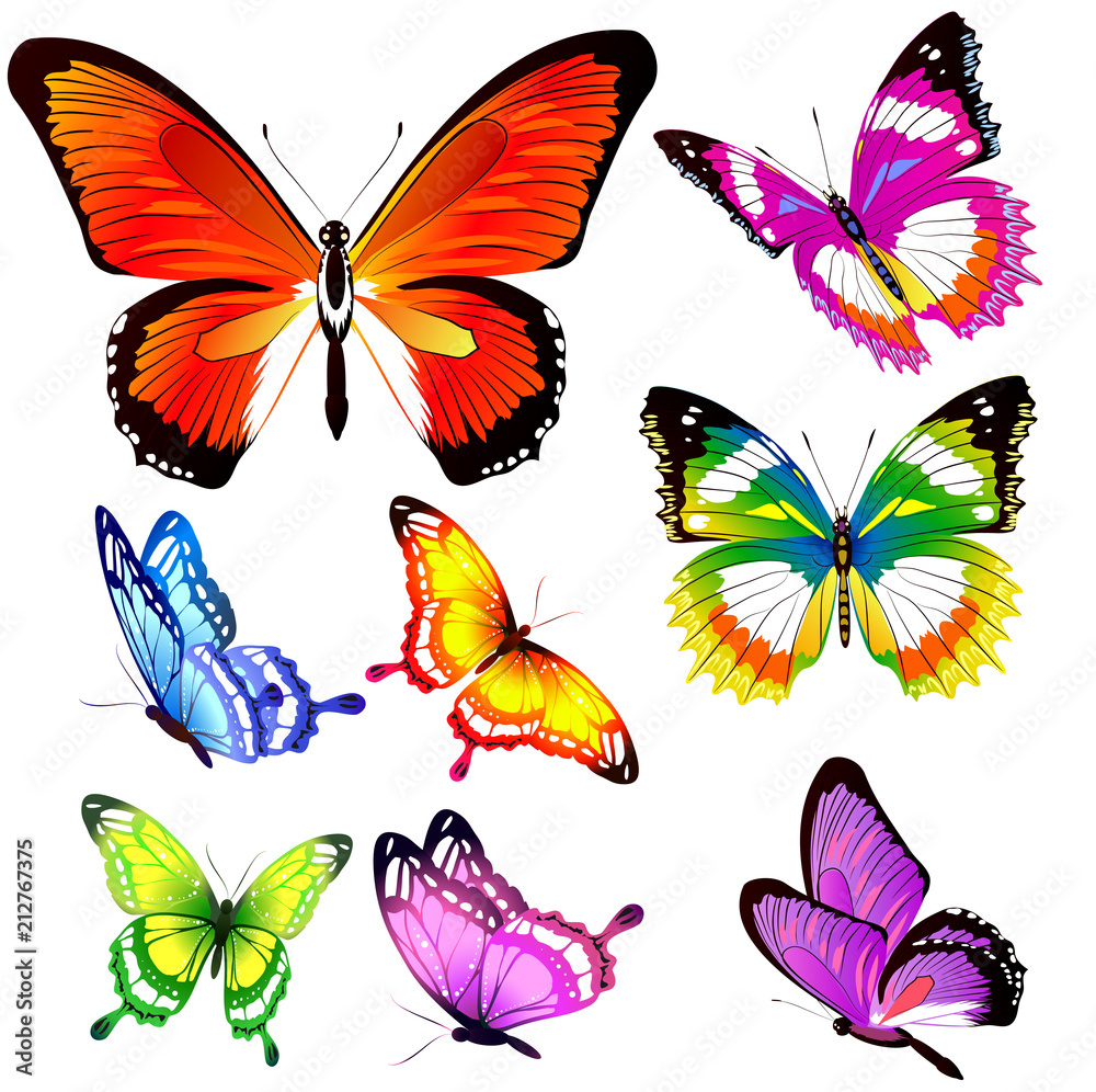 beautiful color butterflies,set, isolated on a white beautiful color butterflies,set, isolated on a white