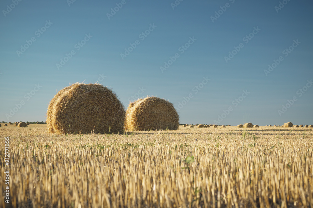 Hay bale on field with wheat straw and sky in the farm land at summer.