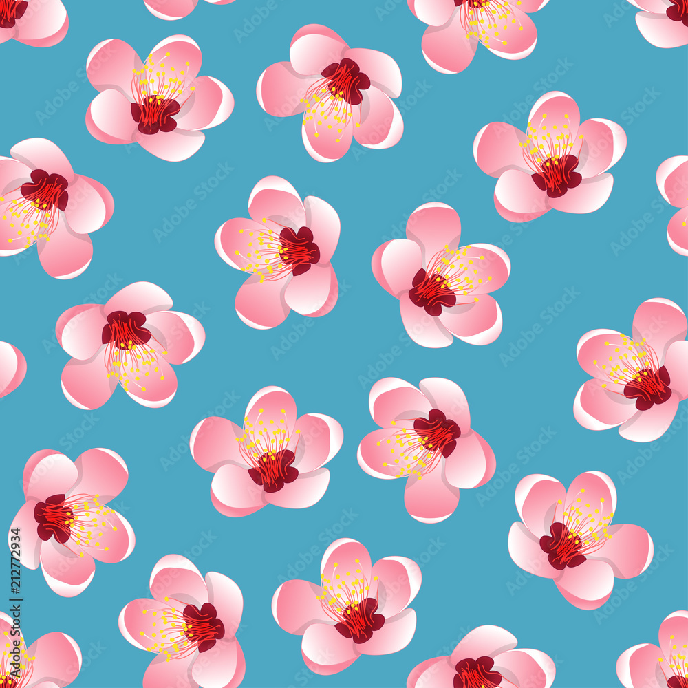 Fototapeta premium Momo Peach Flower Blossom on Blue Background
