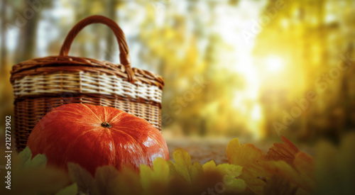 Pumpkin decoration and autumn time. 