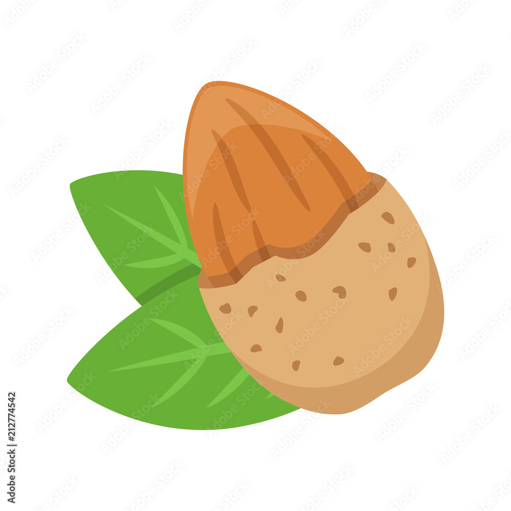 Almond in a nutshell with leaves isolated on white background, flat style vector illustration.