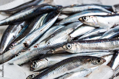 anchovies just caught, close up © faustalavagna