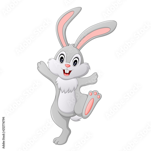 Cute rabbit cartoon