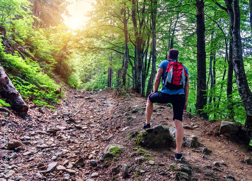 man on the rocky road in green forest