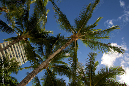 Walking in Hawaii                   