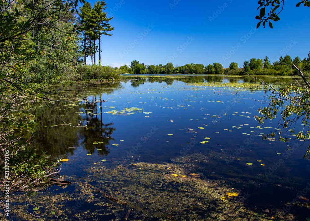 Obraz premium Mud Lake View 2