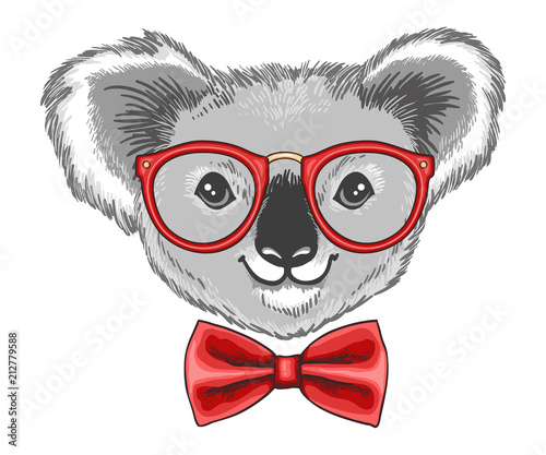 Hand drawn illustration of koala bear in glasses and a bow tie