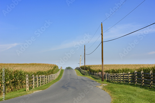 Highway thru Farmland and Corn Fields