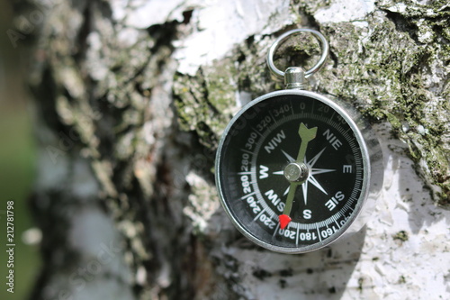 Classic compass on natural wooden background with birch bark texture