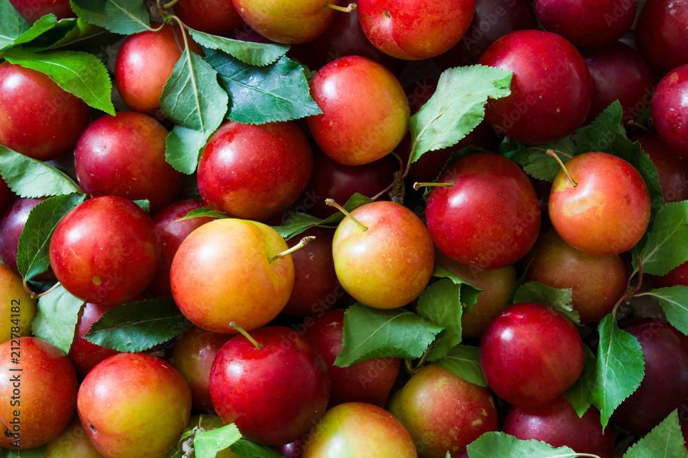 Red and yellow plums background. Top view
Red and yellow plums background. Top view