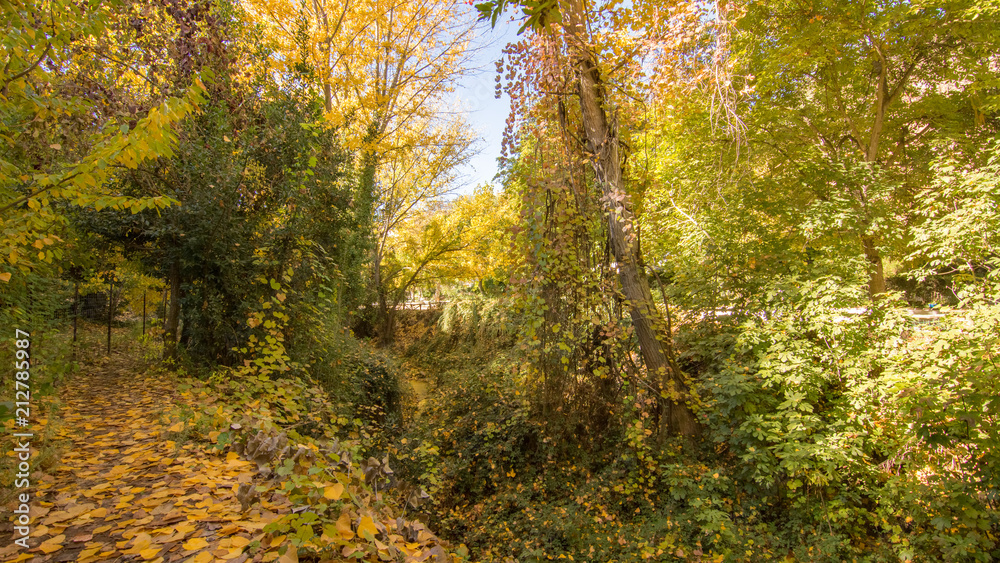 Arroyo de la Ventilla - Arriate - Málaga