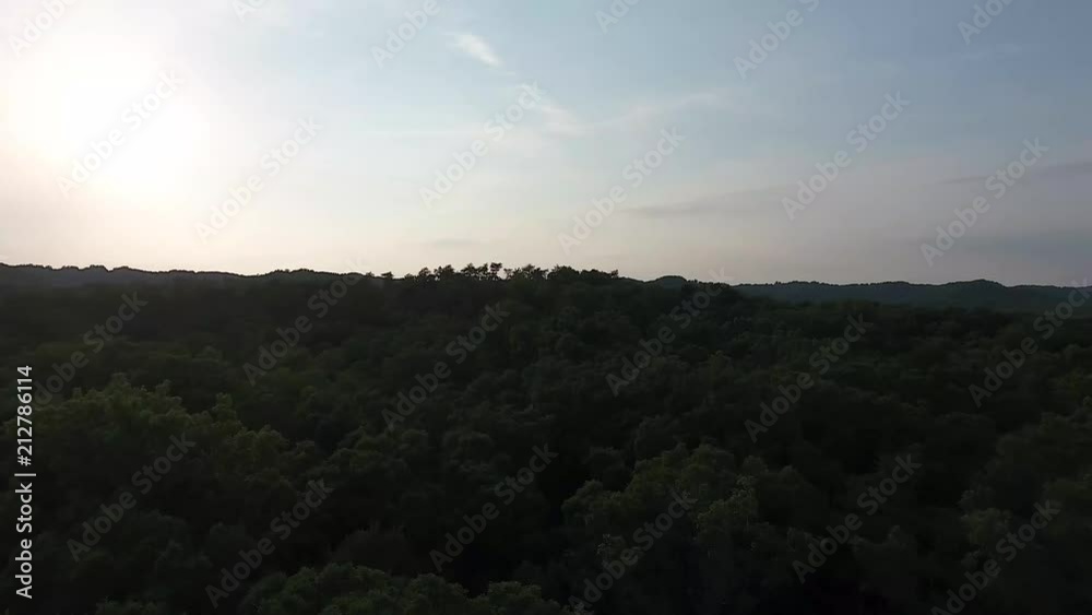 Woods and Forestry arial shot. 4K Woods and Forestry arial shot. 4K