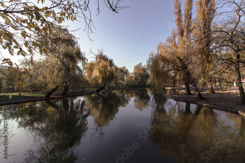 Reflection of the soul