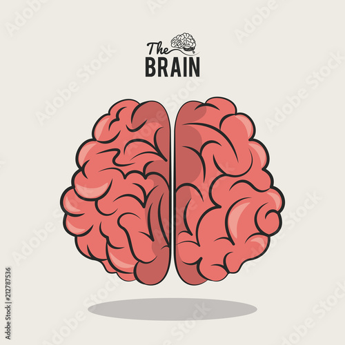 The human brain cartoon vector illustration graphic design