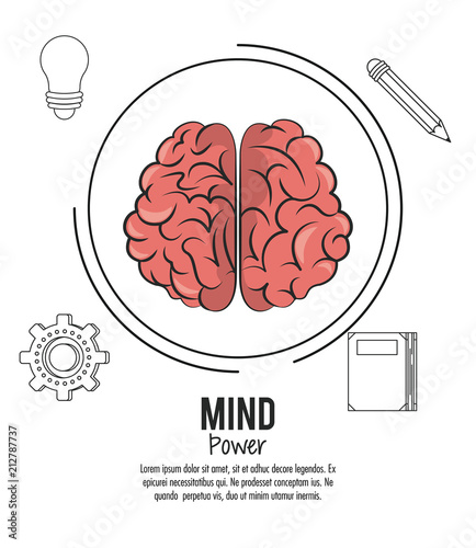 Mind power and brain template with information vector illustration graphic design