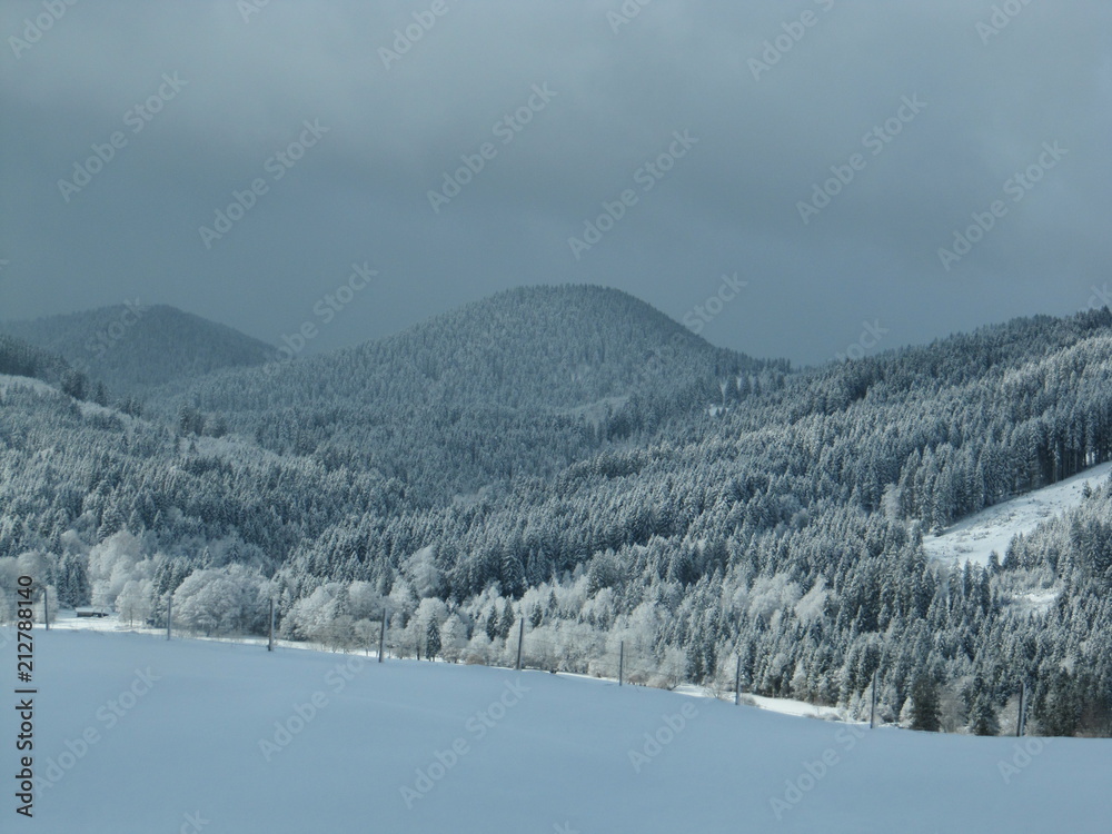 Winterlandschaft mit schneebedeckten Bäumen in den Bergen