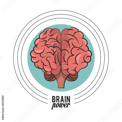 Brain power round icon cartoon vector illustration graphic design