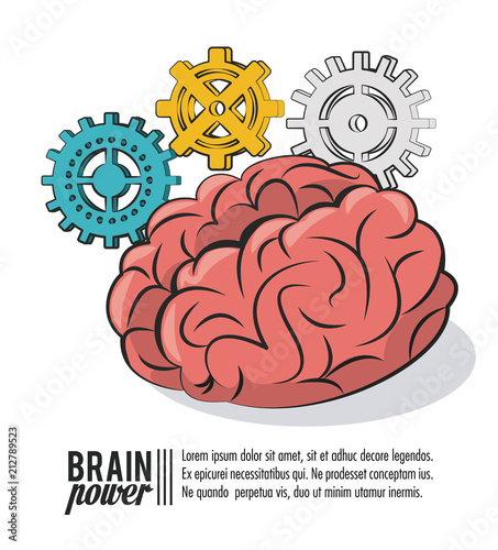 Brain power head silhouette and books vector illustration graphic design
