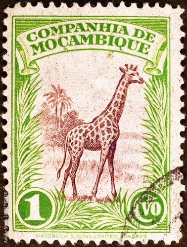 Giraffe on vintage postage stamp of Mozambique 