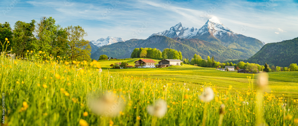 Idyllic landscape in the Alps with blooming meadows in springtime - obrazy, fototapety, plakaty 