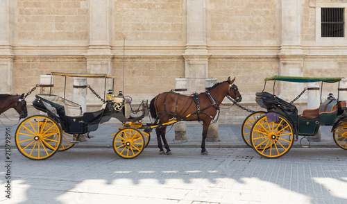 Horse-drawn carriages under the walls of the Seville Cathedral © Rochu_2008