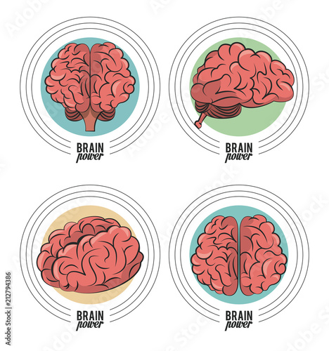 Set of brain power round emblems vector illustration graphic design