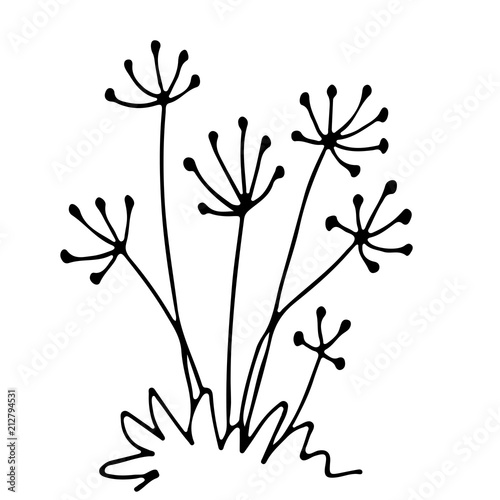 Sketch flowerbed, floral composition, free hand drawing