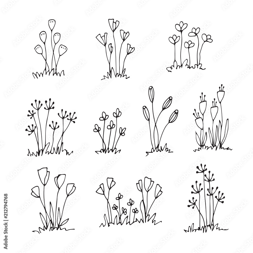 Set of outline hand drawn flowers, sketch art, freehand drawing, doodle flowers