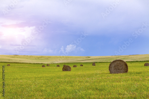 Hay and bales of straw in late summer