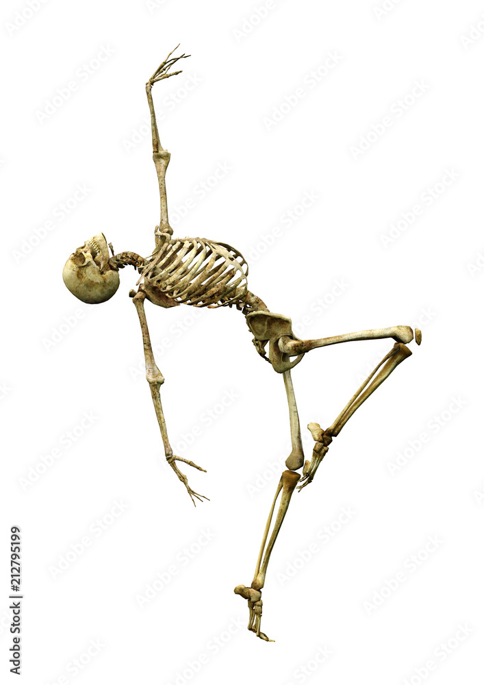 3D Rendering Human Skeleton on White