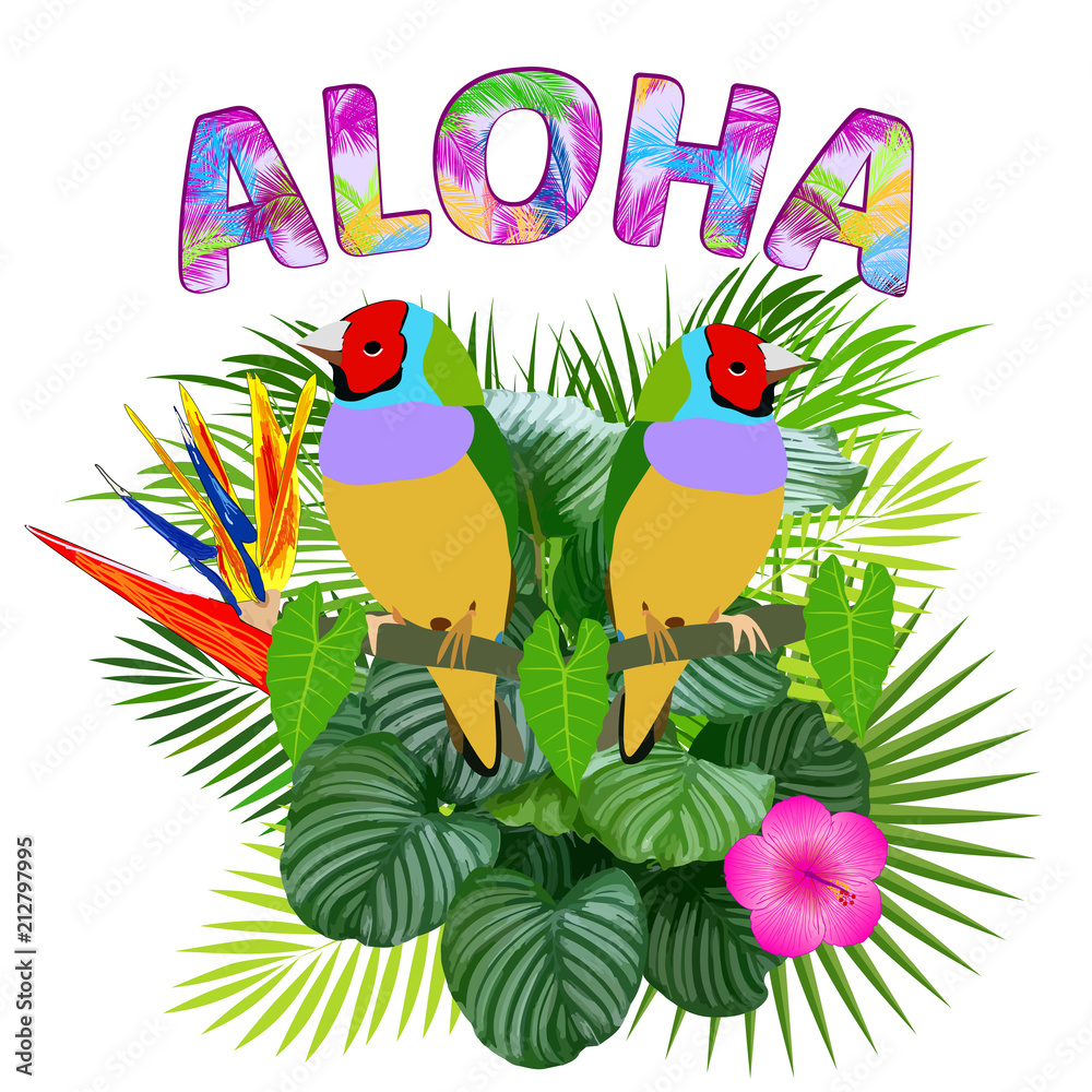 Aloha Hawaii. Aloha T-Shirt design. Best creative design for poster, flyer, presentation. Vector background.