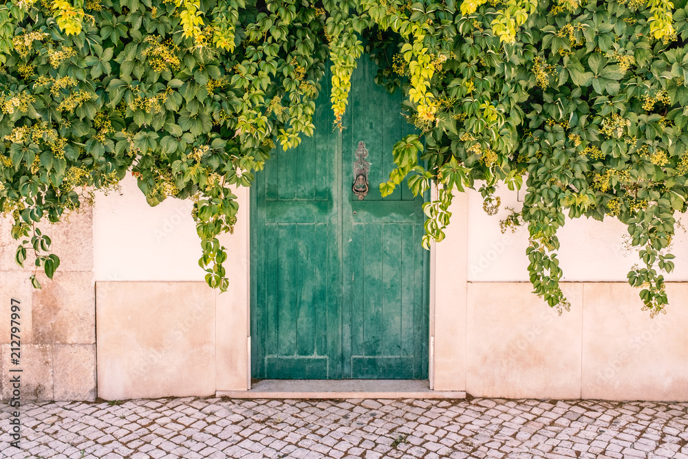 Φωτογραφία Thick covering of elderberry and ivy green leaf plant covering the top of a weather worn wooden green painted door with a metal black door knocker