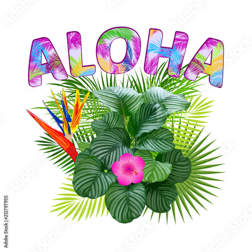 Aloha Hawaii. Aloha T-Shirt design. Best creative design for poster, flyer, presentation. Vector background.
