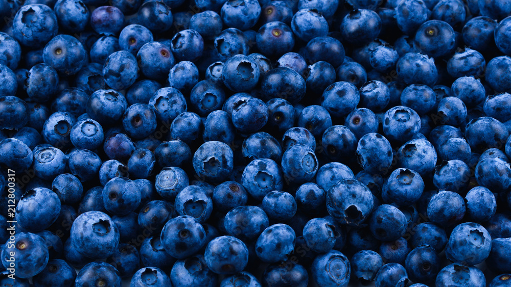 Fresh blueberry background. Texture blueberry berries close up. Fresh blueberry background. Texture blueberry berries close up.