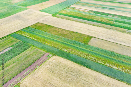 aerial view of green fields. summer time