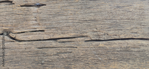 Old wood texture, the surface of the material change over time a