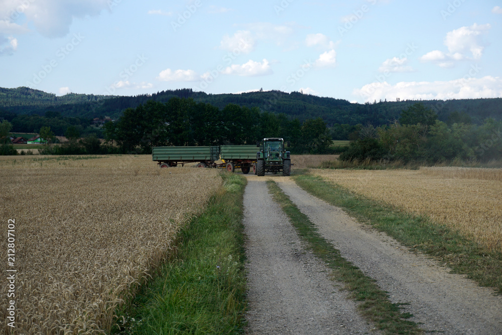 With modern machines, working in agriculture is much easier, here a combine harvester
With modern machines, working in agriculture is much easier, here a combine harvester