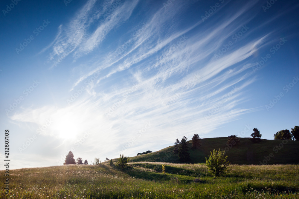 Fototapeta premium Lithuanian landscape with a delicate feathered filament cloud pauses for thought against a luminescent clear blue sky
